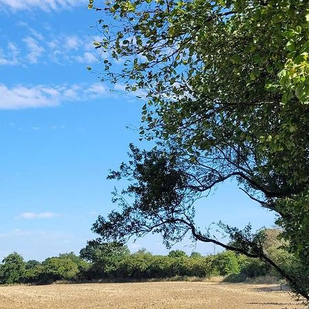 Entire 2 Bed Coach House In Peaceful Norfolk Village Pulham Екстериор снимка